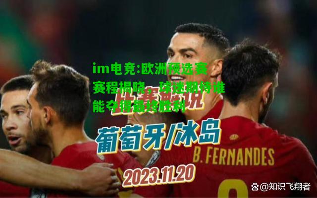 欧洲预选赛赛程揭晓，球迷期待谁能夺得最终胜利